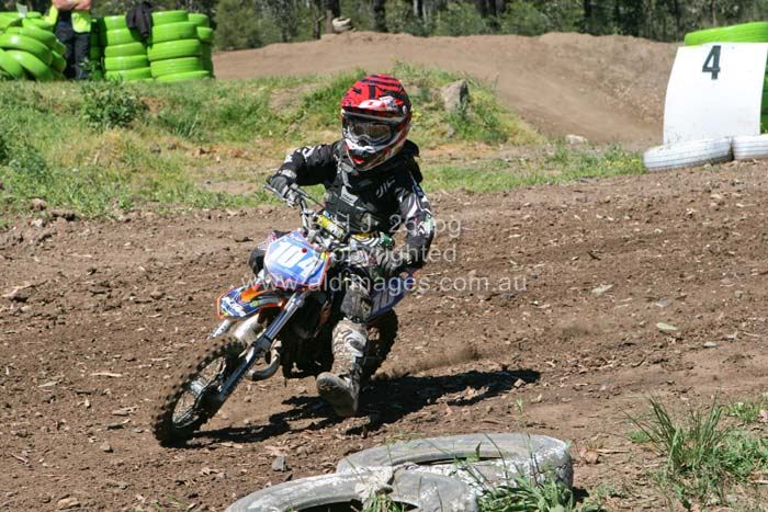 678x444 pixels (93K)